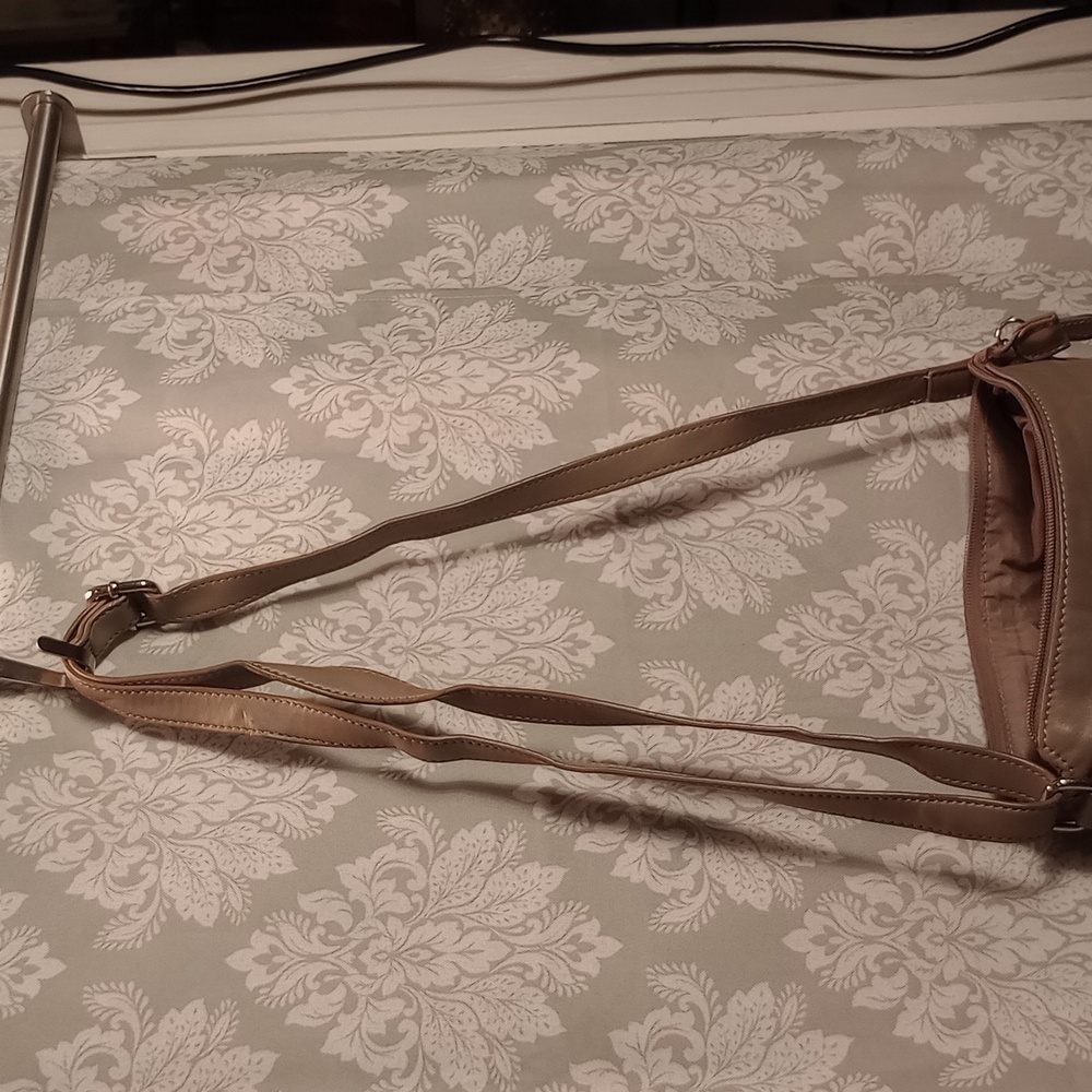 Giani Bernini - image 3